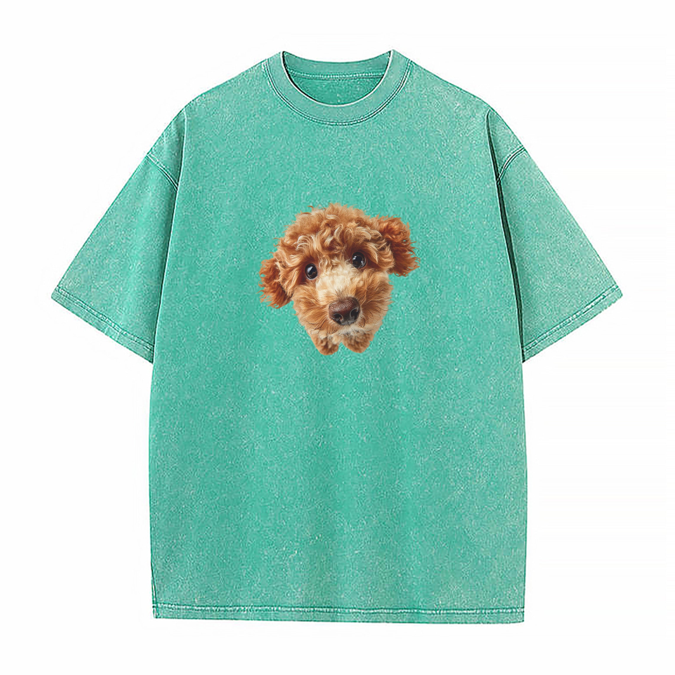 skc_25111937n_S172511198rj-5B