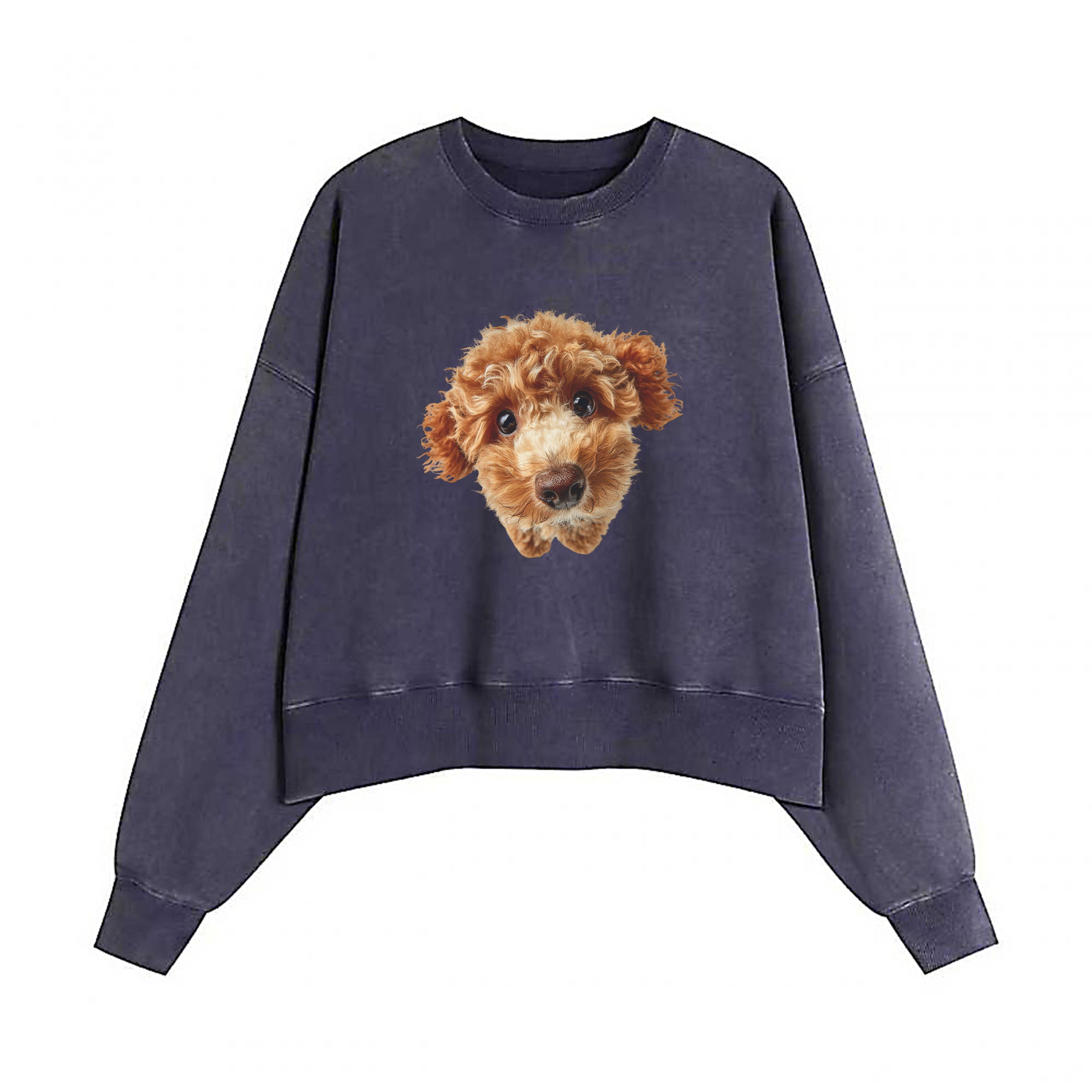 skc_25111937n_H82511198xd-6B