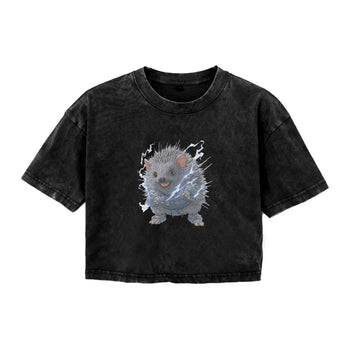 Boxy Tee | Electric Guardian: A Hedgehog's Heart